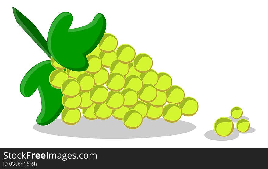 Illustration of green grape created by