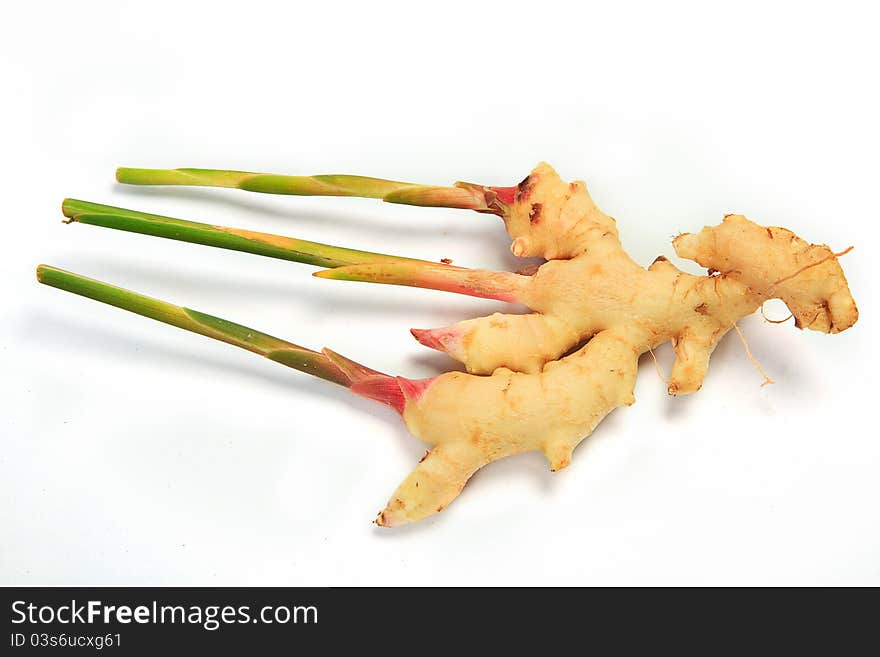 Thailand ginger On a white background.