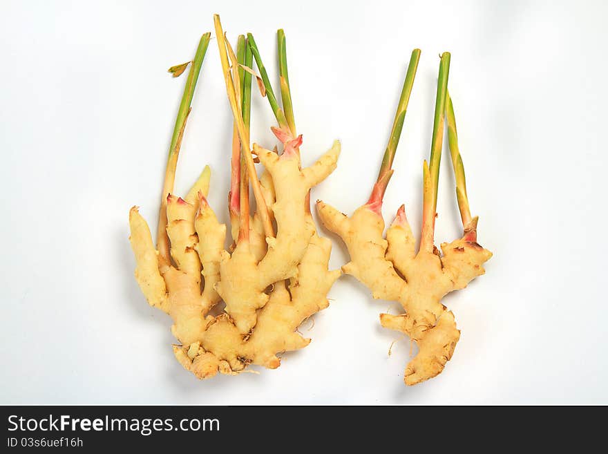 Thailand ginger On a white background.