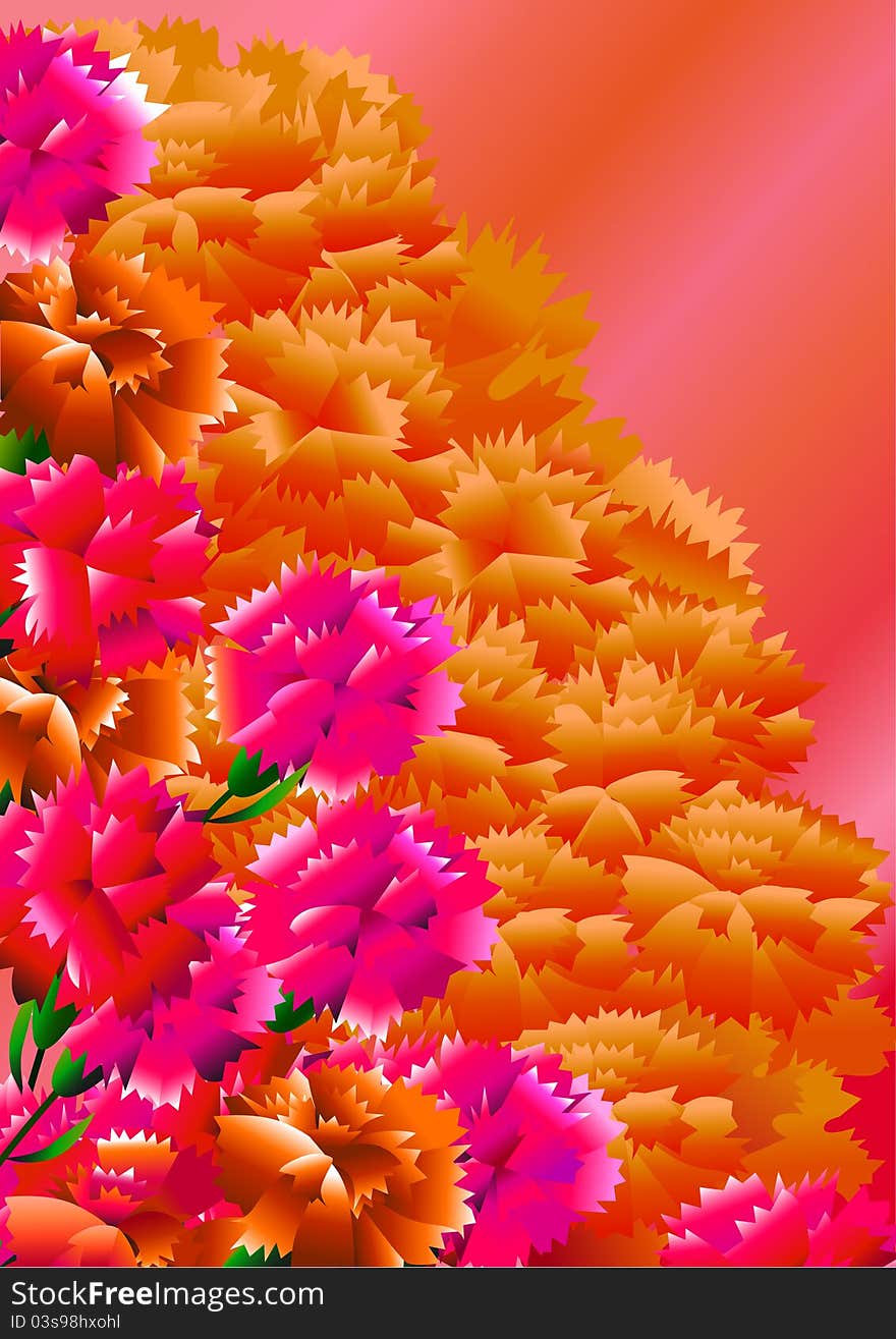 Red,pink,yellow carnation flowers on a warm background. Red,pink,yellow carnation flowers on a warm background