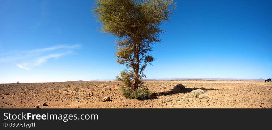 Sahara Desert And The Car