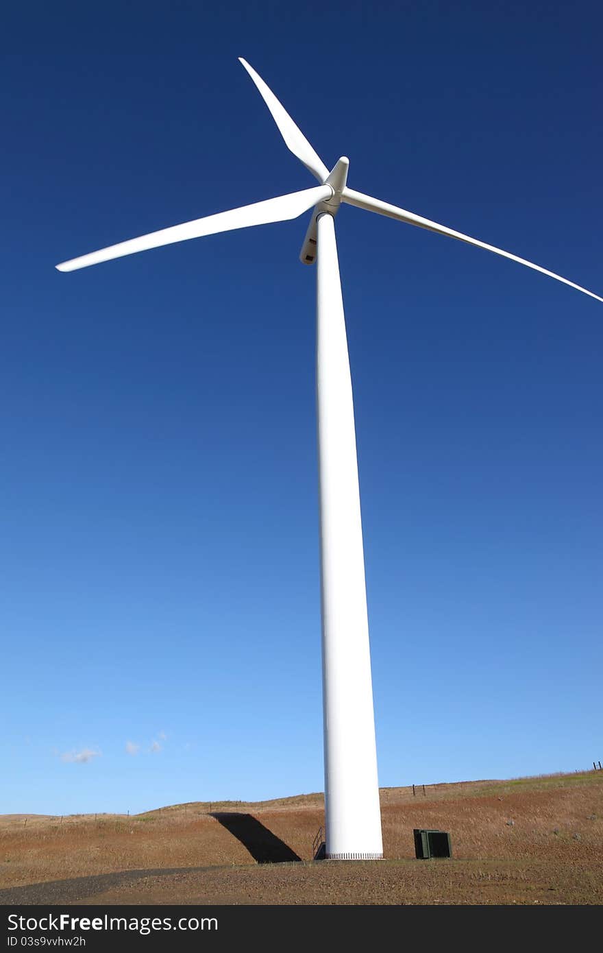 Wind energy, wind turbine in a field Washington st