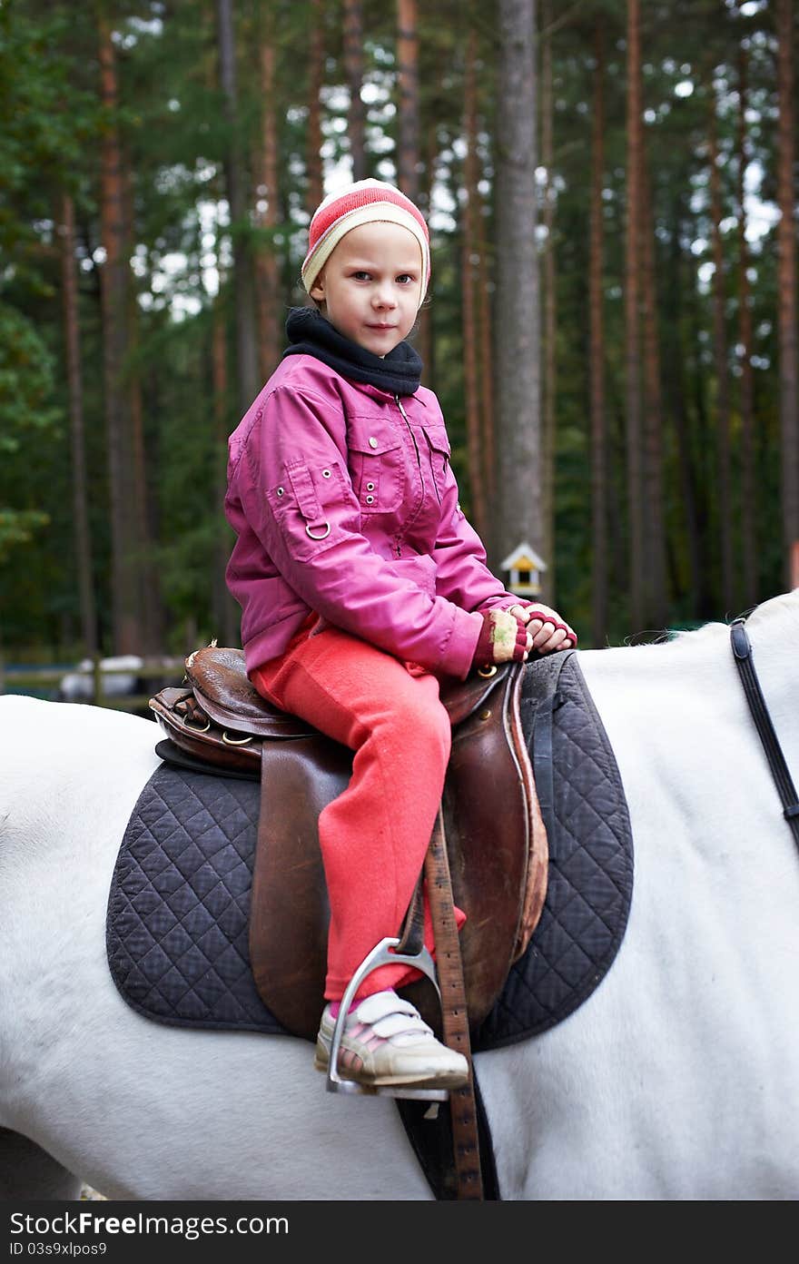 Girl rider on a white horse on forest background