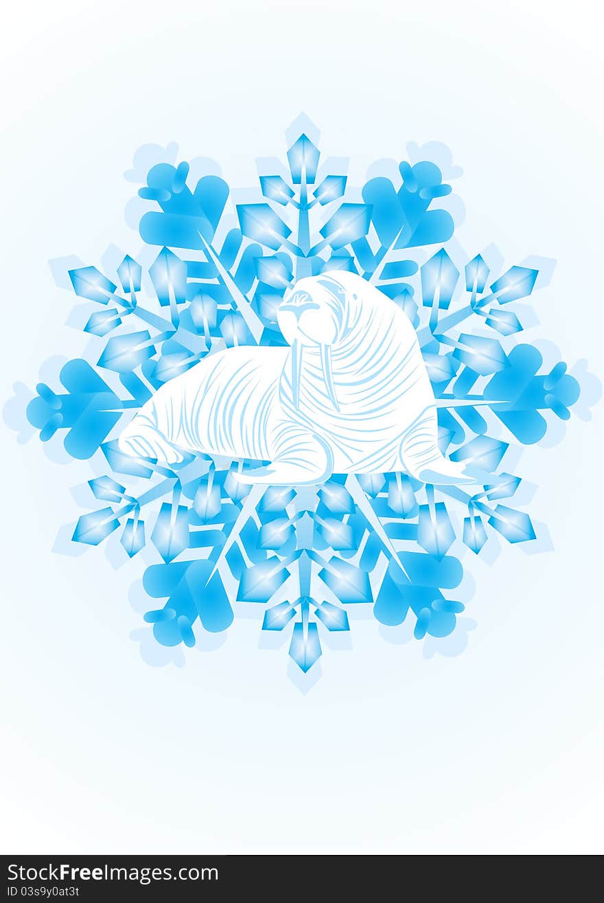 Walrus on the snowflake