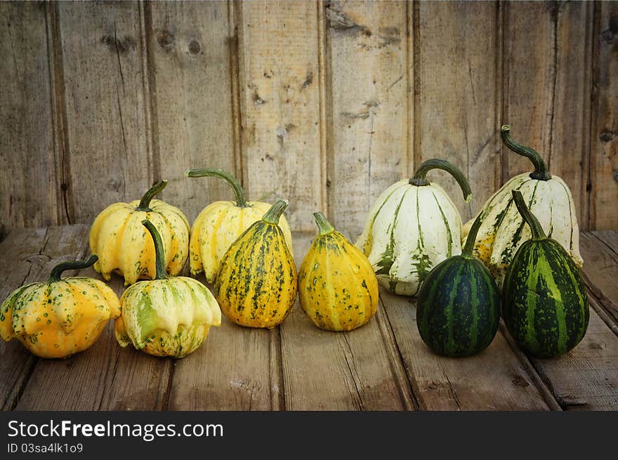 Different kind of Decorative Pumpkin. Different kind of Decorative Pumpkin