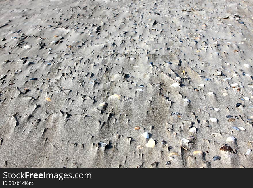 Texture of sand and shells