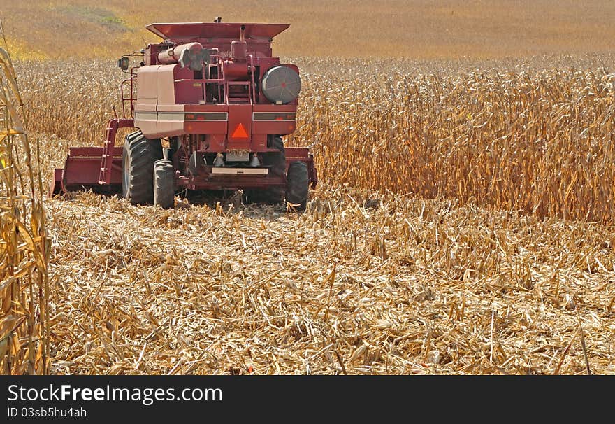 Red farm combine harvesting a field of golden corn. Red farm combine harvesting a field of golden corn