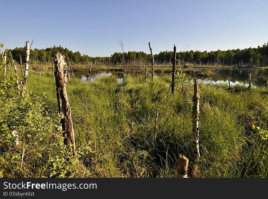 Peat lake