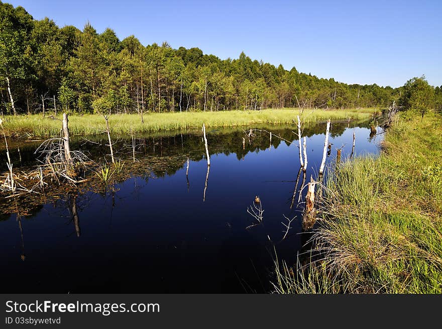 Peat lake