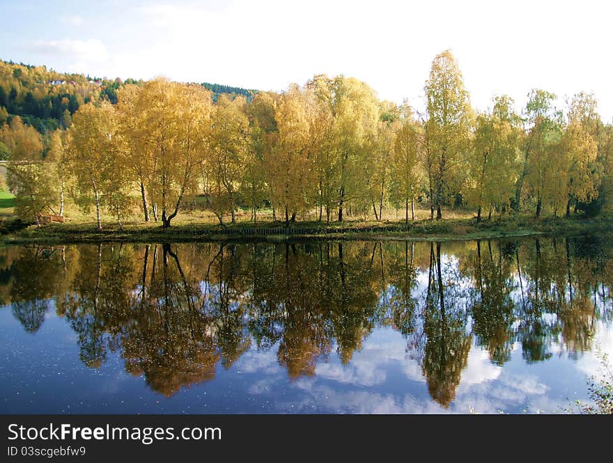 River bank