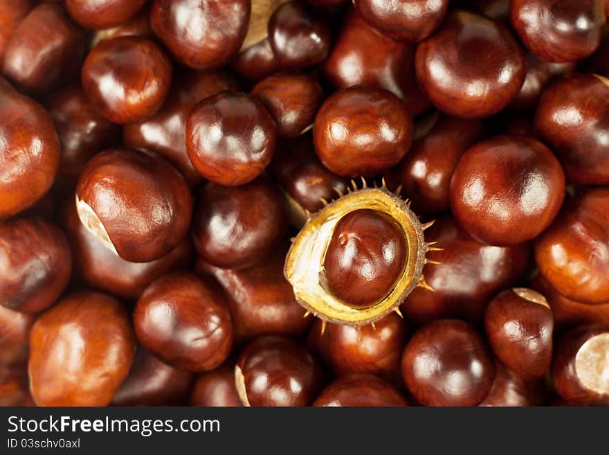 Many beautiful shiny brown chestnuts as texture