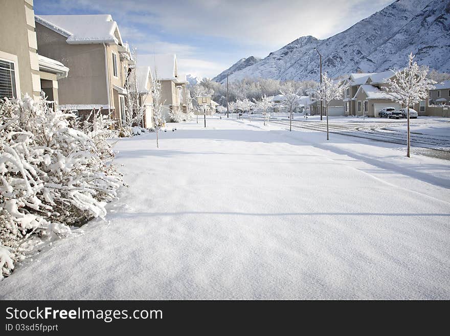 A Suburban city street just after a new snowfall. A Suburban city street just after a new snowfall