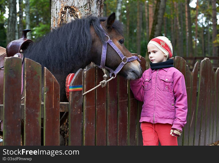 Girl and a little horse pony near corral