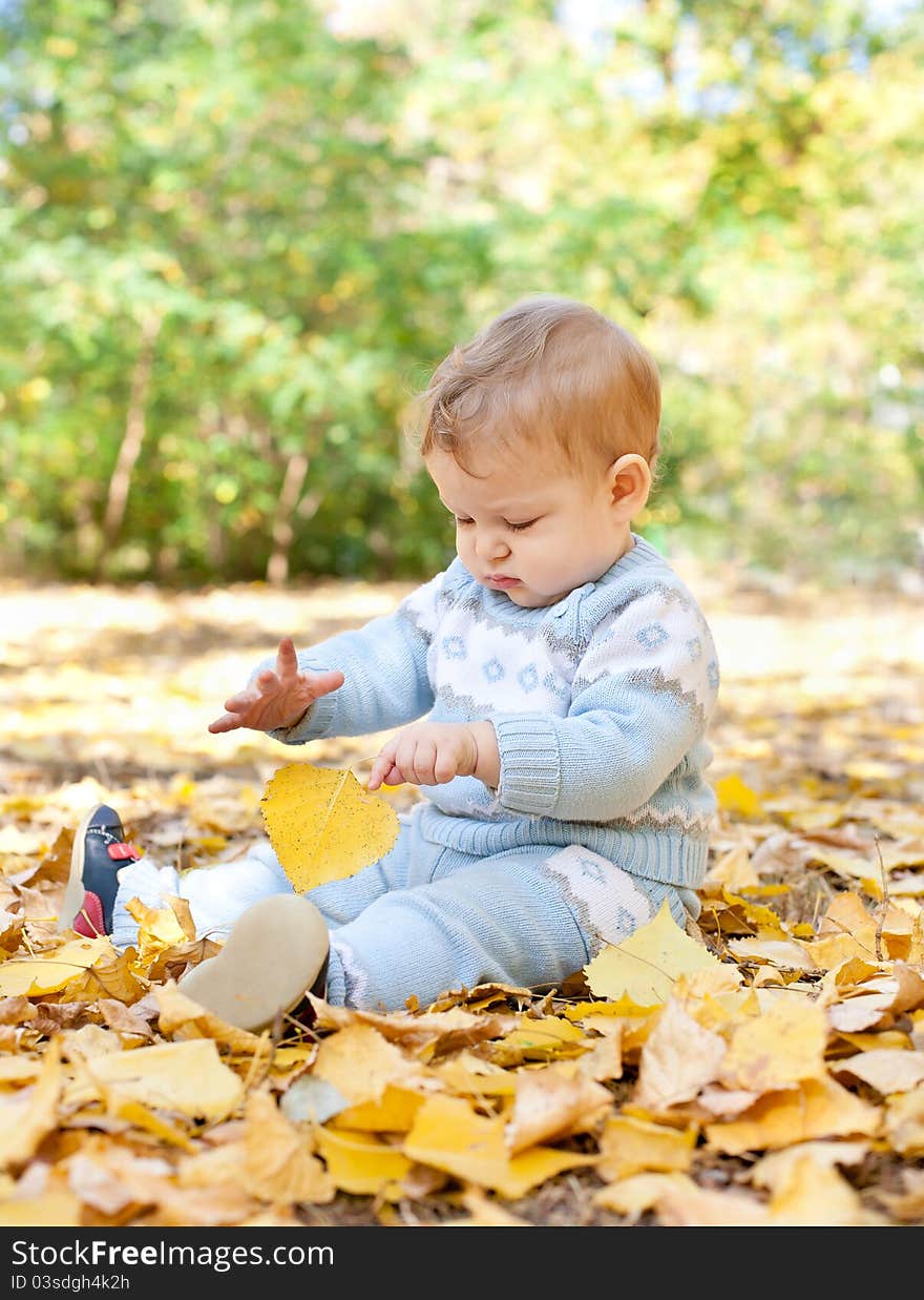 Baby Boy Sitting In Autumn Leaves