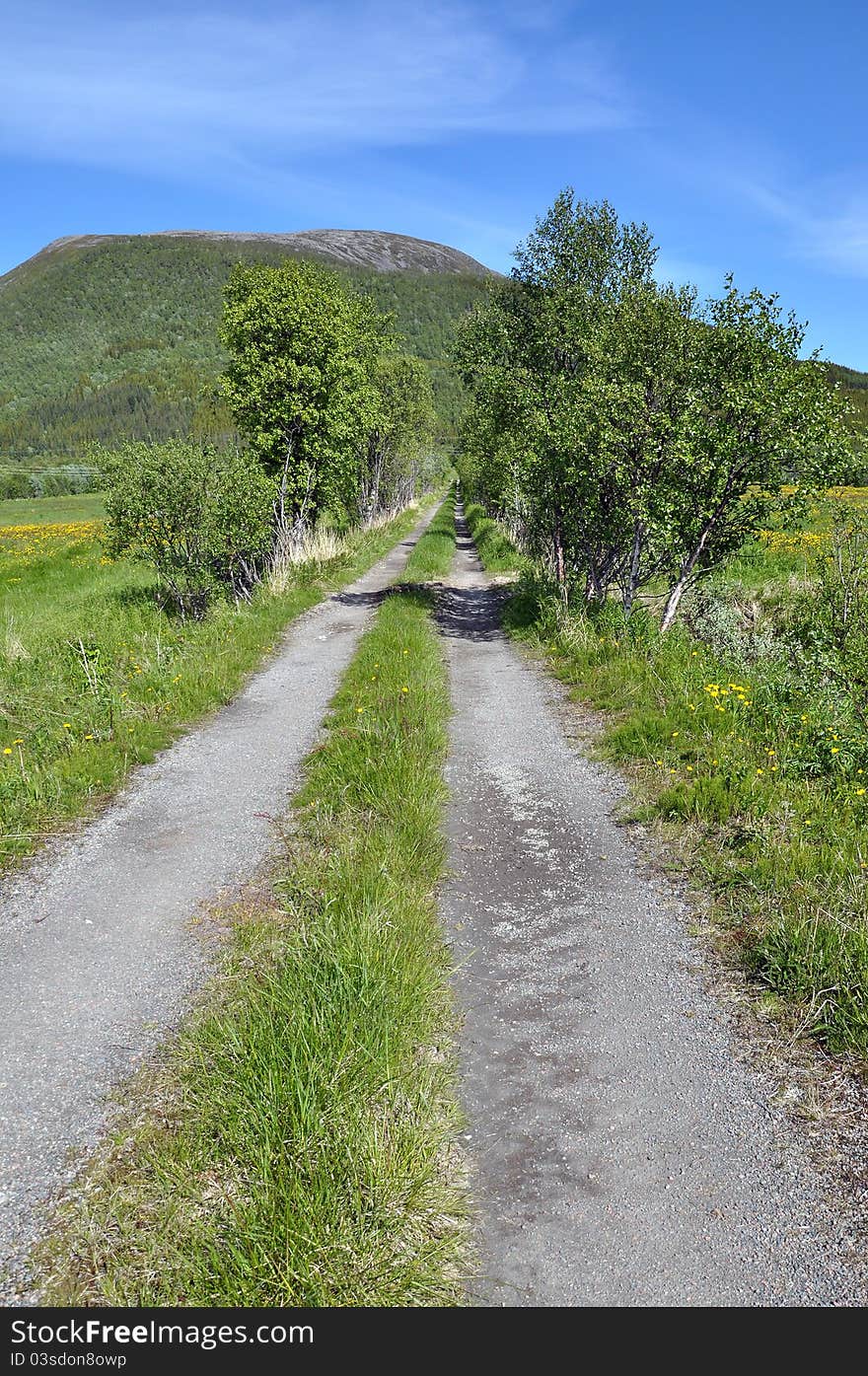 Road with gravel and grass and trees and a mountain and a blue sky with clouds in a rural scene. Road with gravel and grass and trees and a mountain and a blue sky with clouds in a rural scene