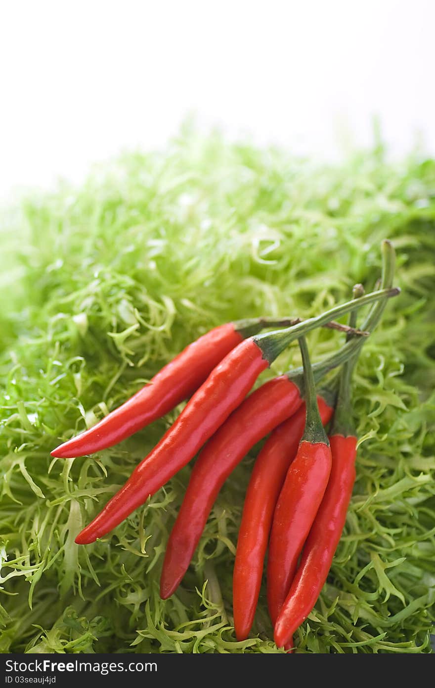 Hot red chilli placed on green and white background