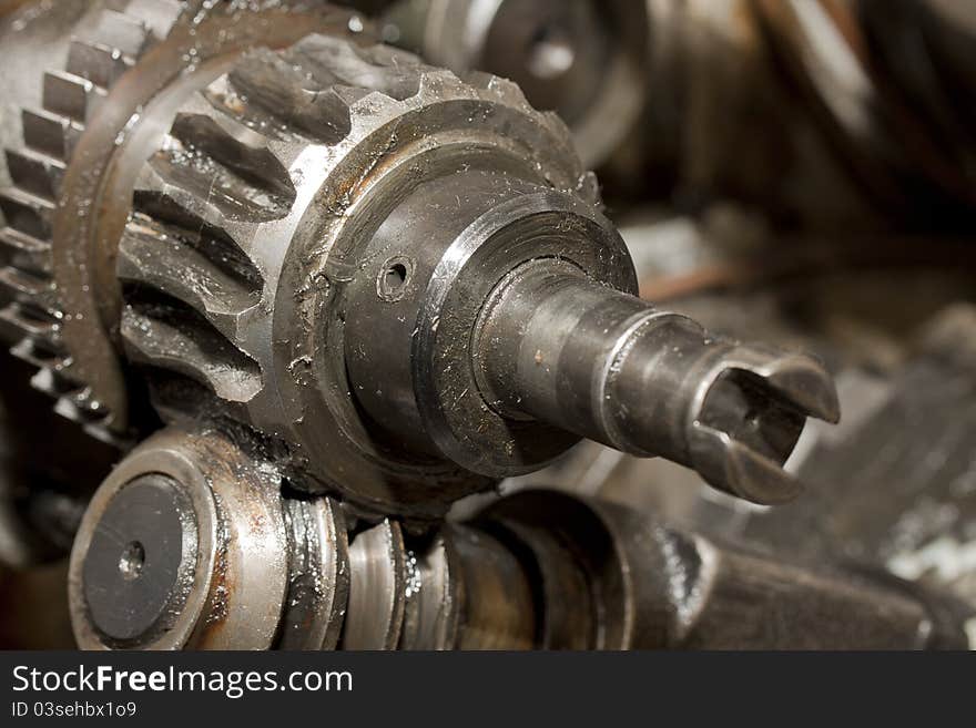 Old grease filled gear - close up. Old grease filled gear - close up