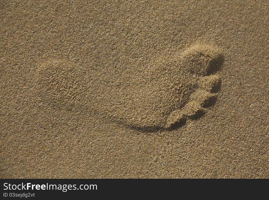 Footprint in golden sand on the shore of the sea. Footprint in golden sand on the shore of the sea