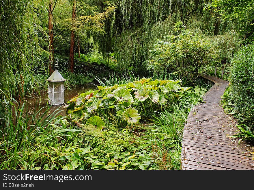 A shaded English woodland garden with boardwalk and pond. A shaded English woodland garden with boardwalk and pond