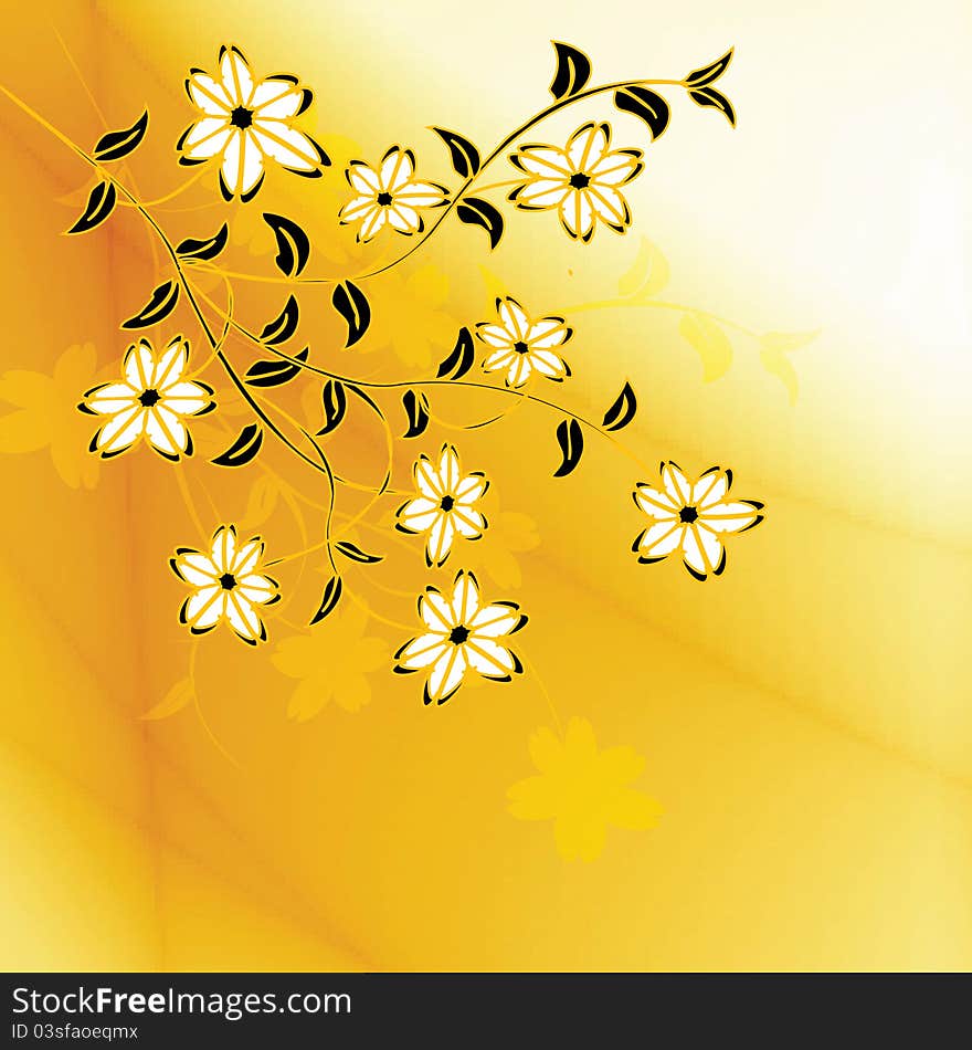 Beautiful flowers on orange background. Beautiful flowers on orange background