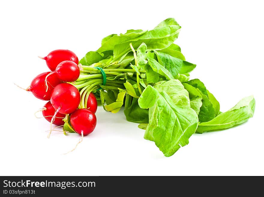 Radish Isolated On White