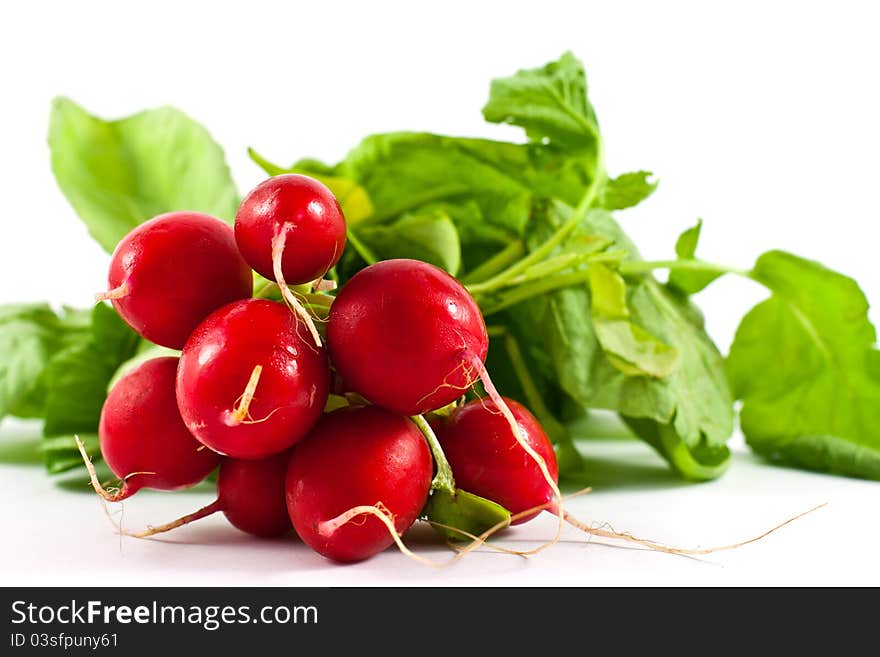 Group of radishes and leaf isolated on white. Group of radishes and leaf isolated on white