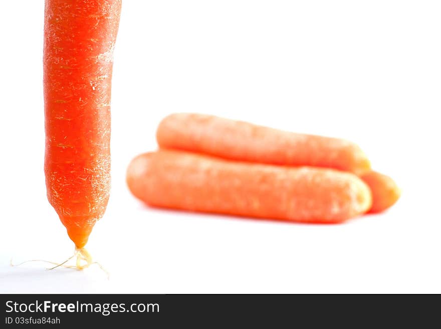 Carrots in a row