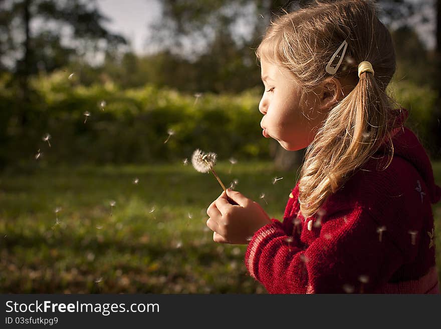 A little girl on a sunny day blowing a dandelion