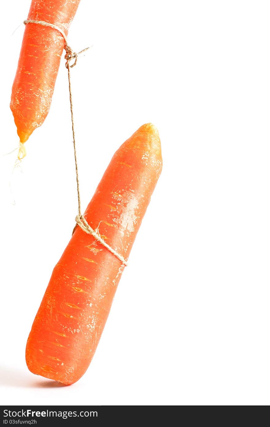 Carrot hanged