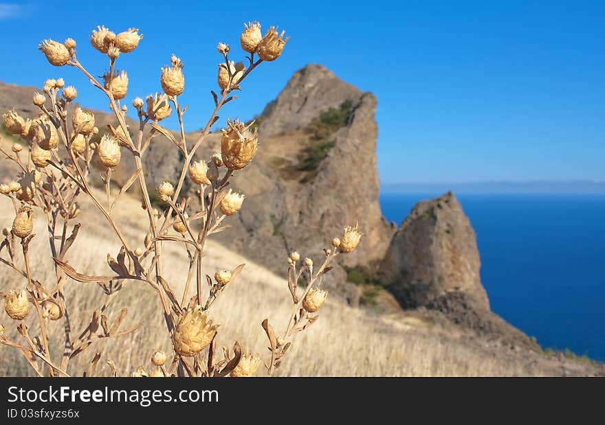 Dry grass on Karadag mountain. Black Sea, Crimea