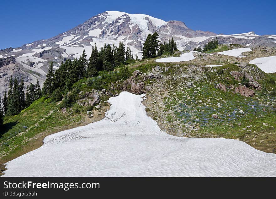 Mount Rainier National Park Washington