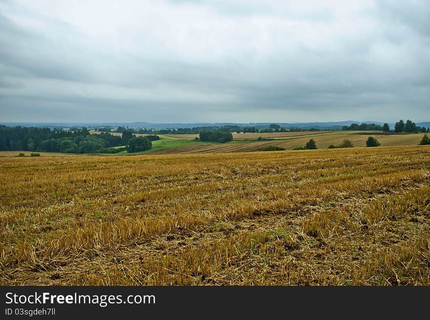 Dramatic weather over summery meadow