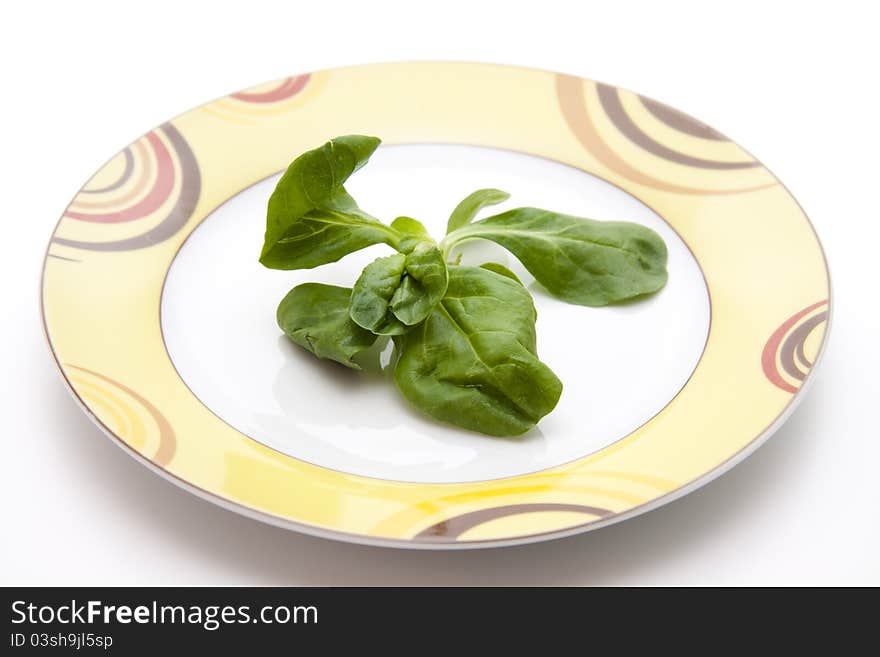 Corn Salad On Ceramic Plate