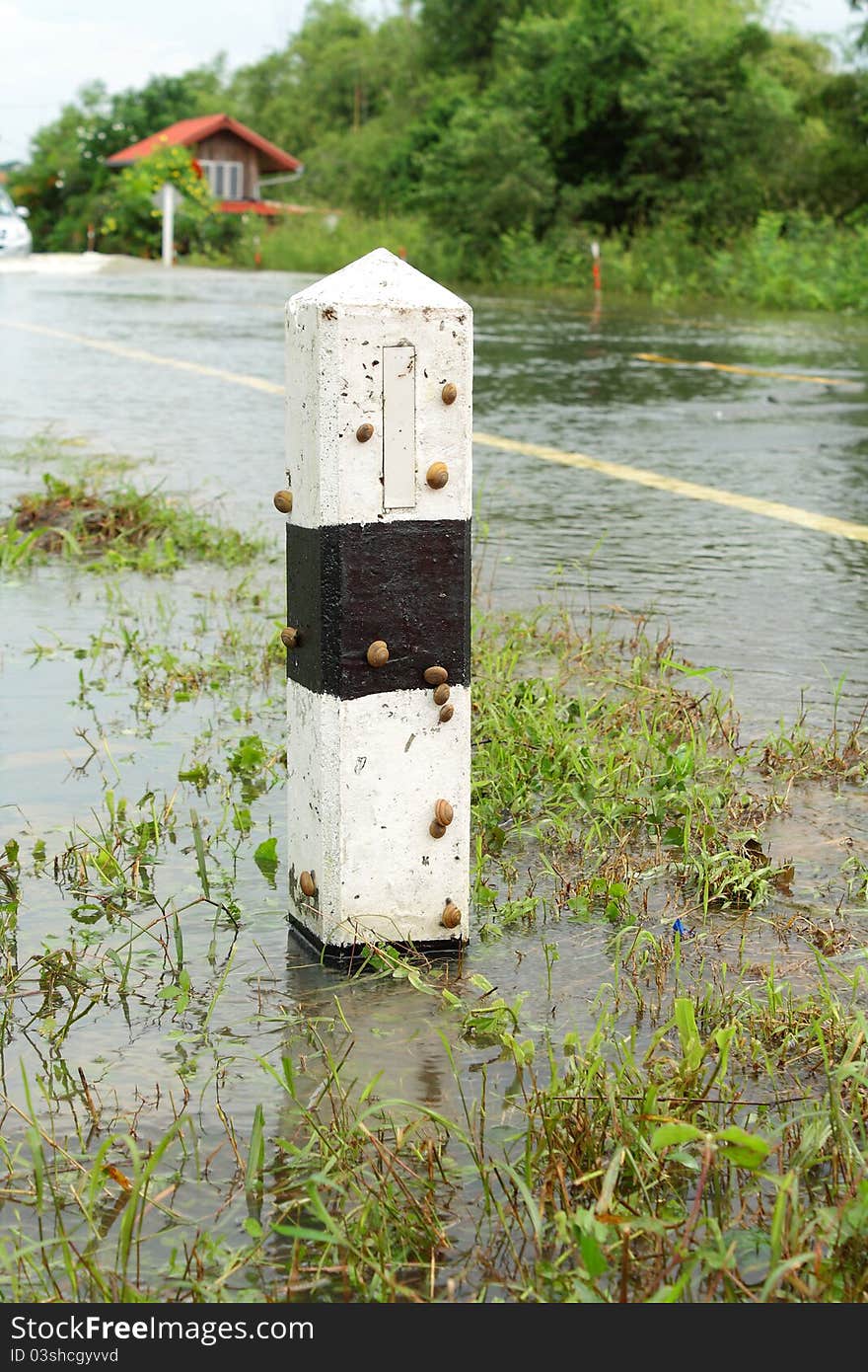 Pole traffic has been flooded, and snails. Pole traffic has been flooded, and snails.