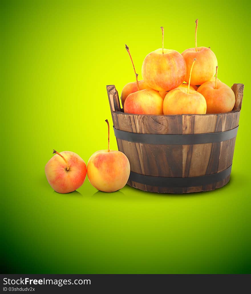 Tiny apples and potted plants on a color. Tiny apples and potted plants on a color.