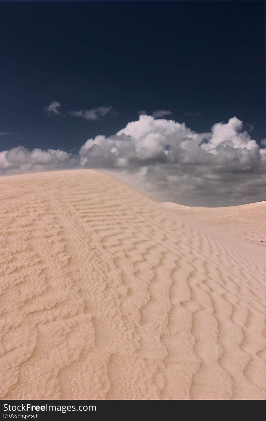 Sand dunes at Nilgen Nature Reserve.