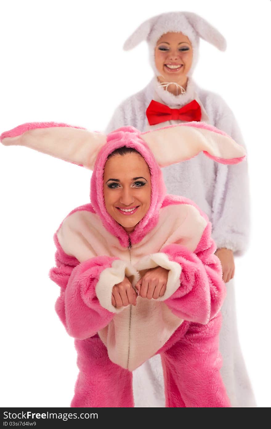 Funny pink rabbit against white rabbit isolated on white background. Funny pink rabbit against white rabbit isolated on white background