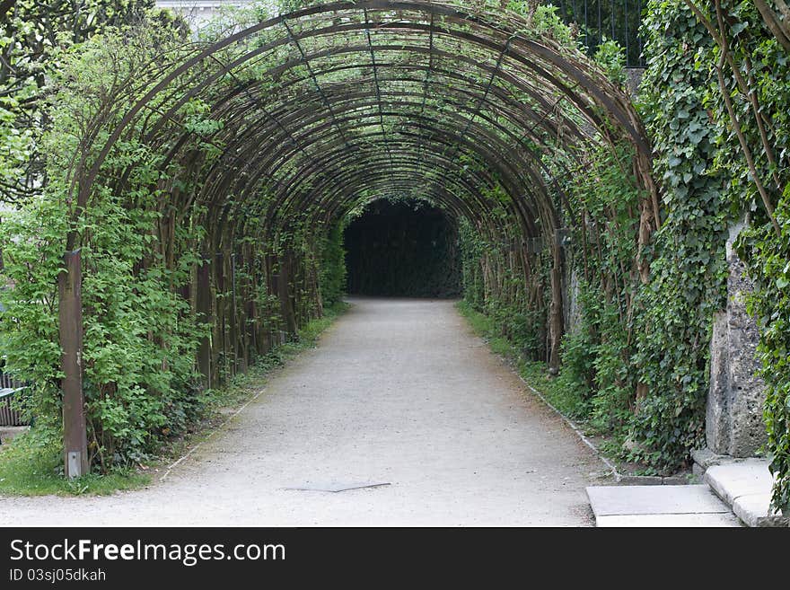 Pergola in the garden