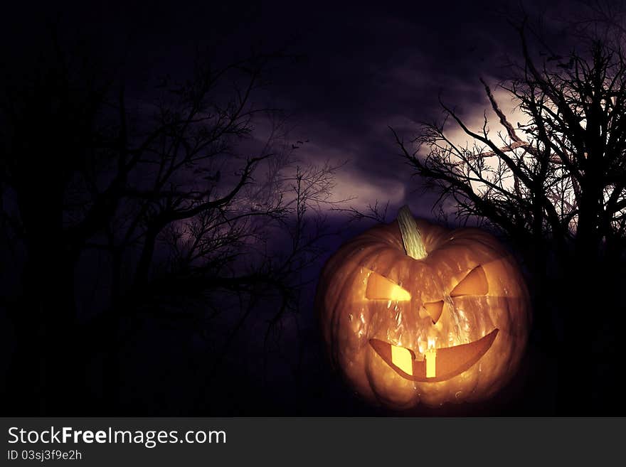 Scary pumpkin and forest at halloween night