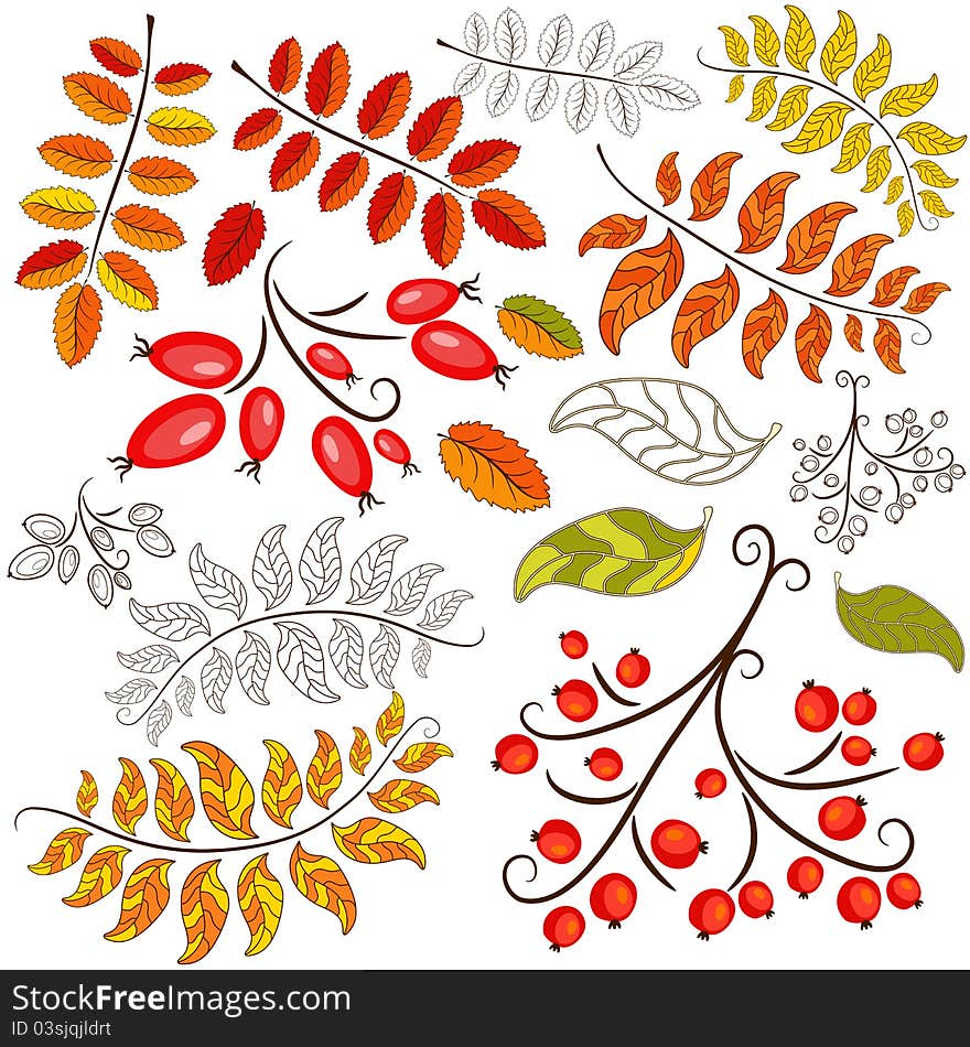 Set abstract design autumn floral element on white. Set abstract design autumn floral element on white