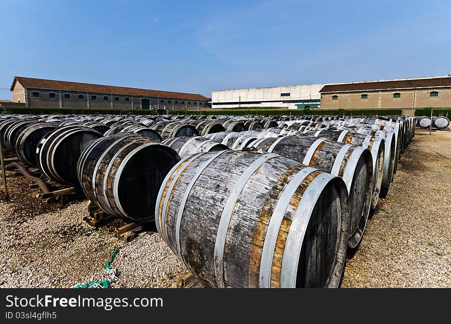 Wine barrels with vermuth, France