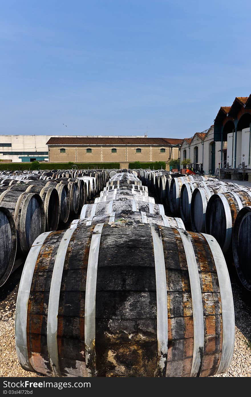 Wine barrels with vermuth, France