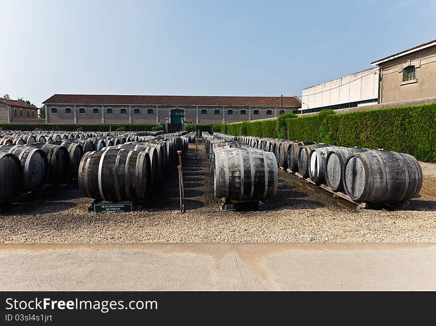 Wine barrels with vermuth, France