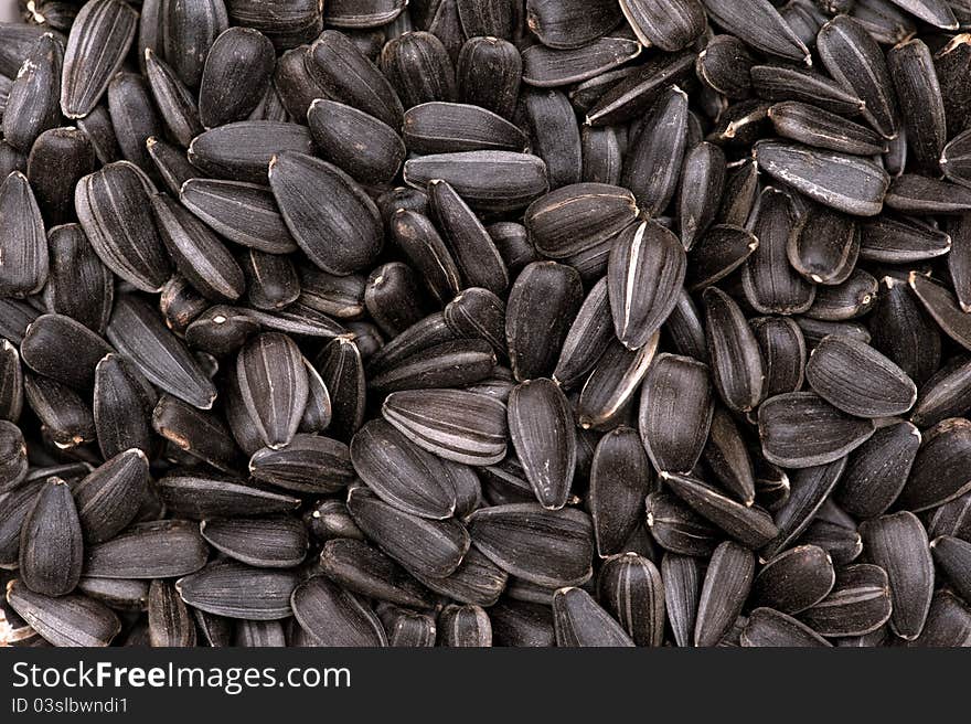 Sunflower seeds / background / 1 1