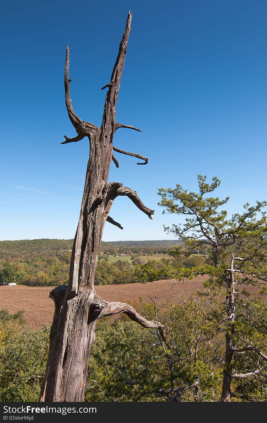 View from the bluff