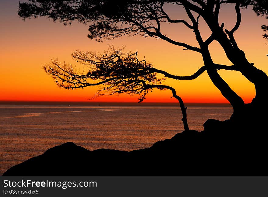 Beautiful beach at sunrise wih trees