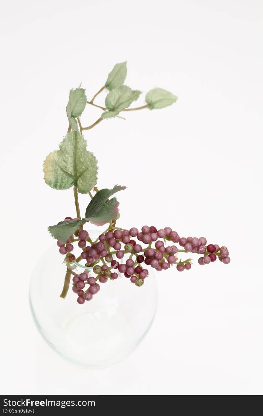 Glass bottle and grapes, on white background