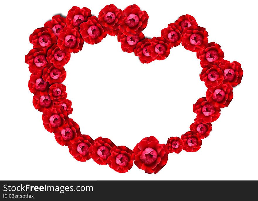 Rose heart frame isolated on white