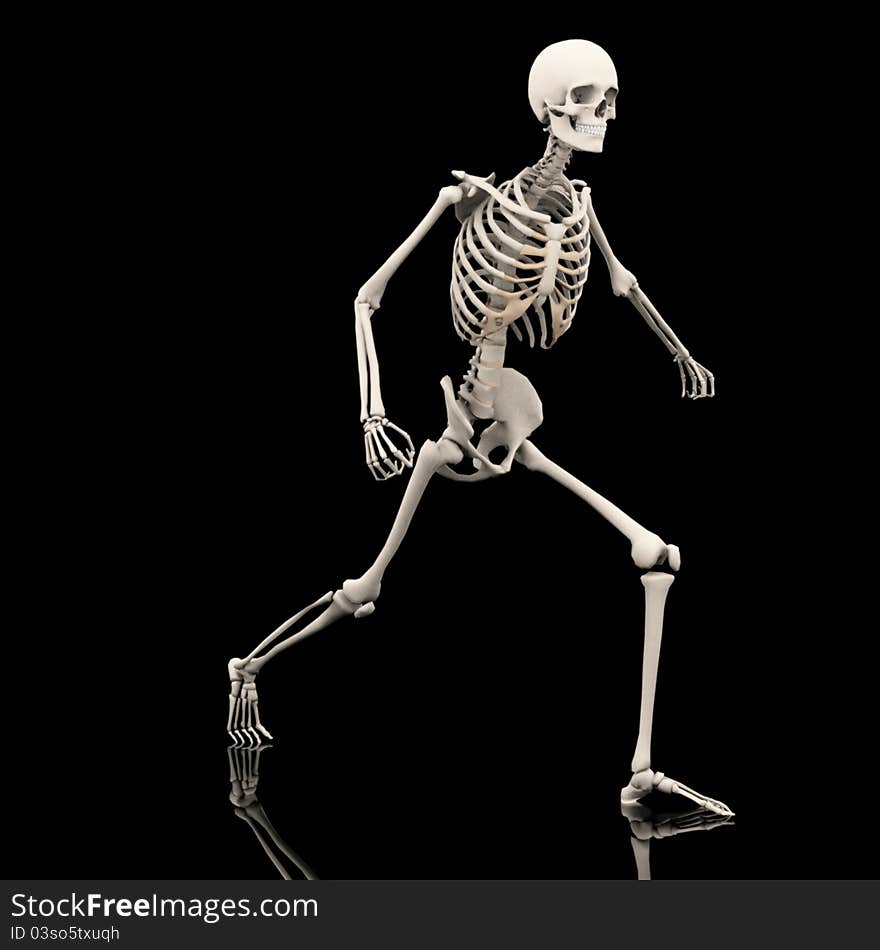 A skeleton in his scary halloween pose. A skeleton in his scary halloween pose