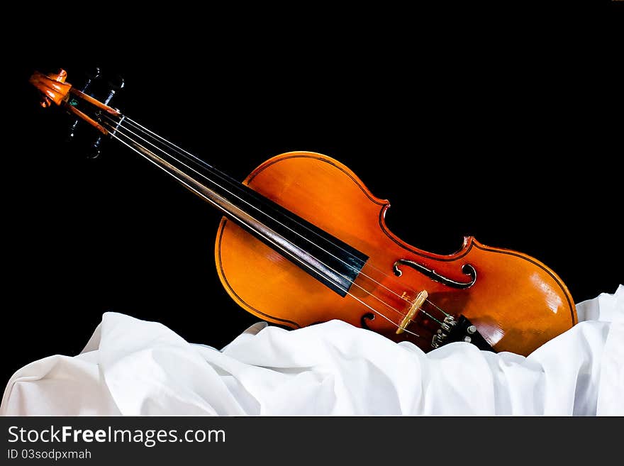 Orange on the old violin wood frame. Orange on the old violin wood frame